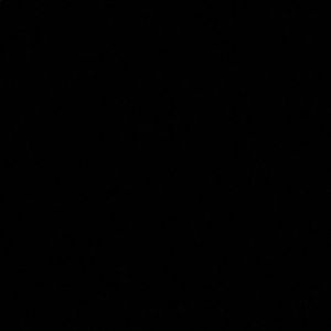 Meet your Posher, Brayden